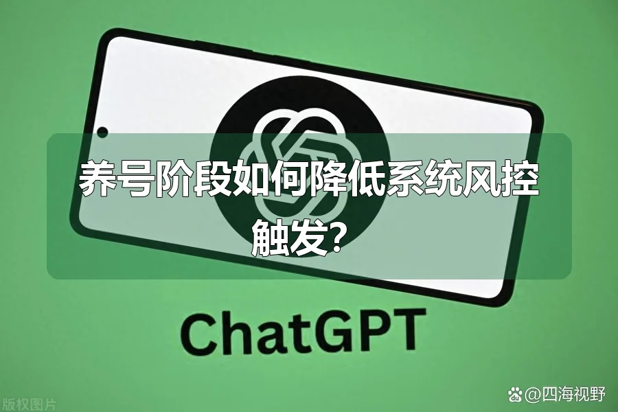养号阶段如何降低系统风控触发？